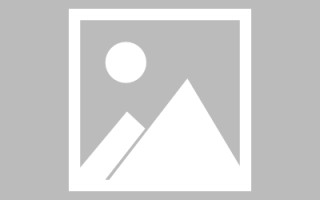 梨树县微网站建设特征（微网站的设计要求）
