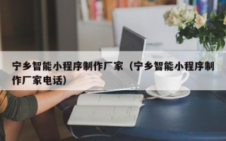 梨树县宁乡智能小程序制作厂家（宁乡智能小程序制作厂家电话）